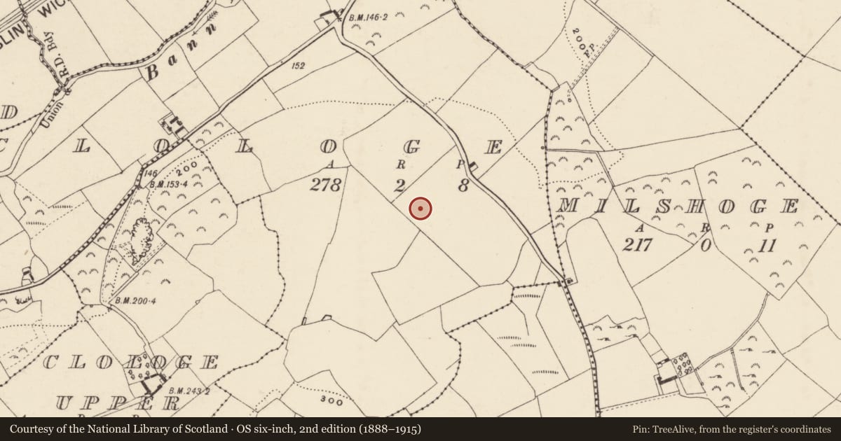 Ordnance Survey six-inch map, 2nd edition (1888–1915) covering the location of Ringfort - rath, Clologe, County Wexford, with a pin at the register's coordinates