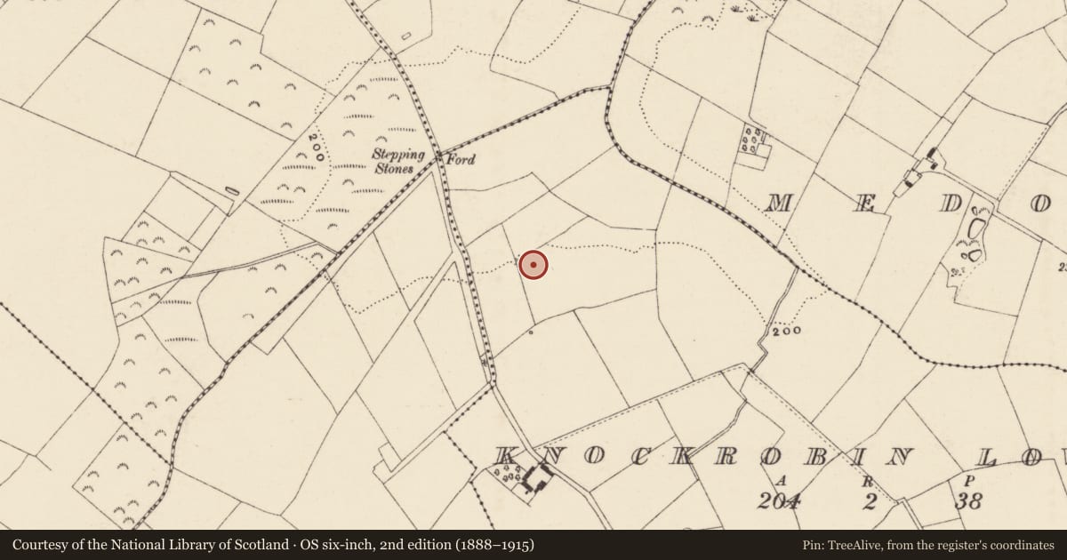 Ordnance Survey six-inch map, 2nd edition (1888–1915) covering the location of Ringfort - rath, Knockrobin Lower, County Wexford, with a pin at the register's coordinates