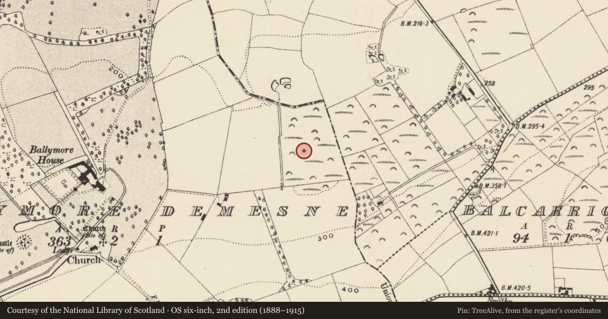 Ordnance Survey six-inch map, 2nd edition (1888–1915) covering the location of Moated site, Ballymore Demesne, County Wexford, with a pin at the register's coordinates