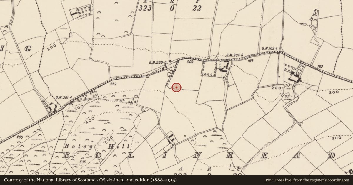 Ordnance Survey six-inch map, 2nd edition (1888–1915) covering the location of Cist, Bolinready, County Wexford, with a pin at the register's coordinates