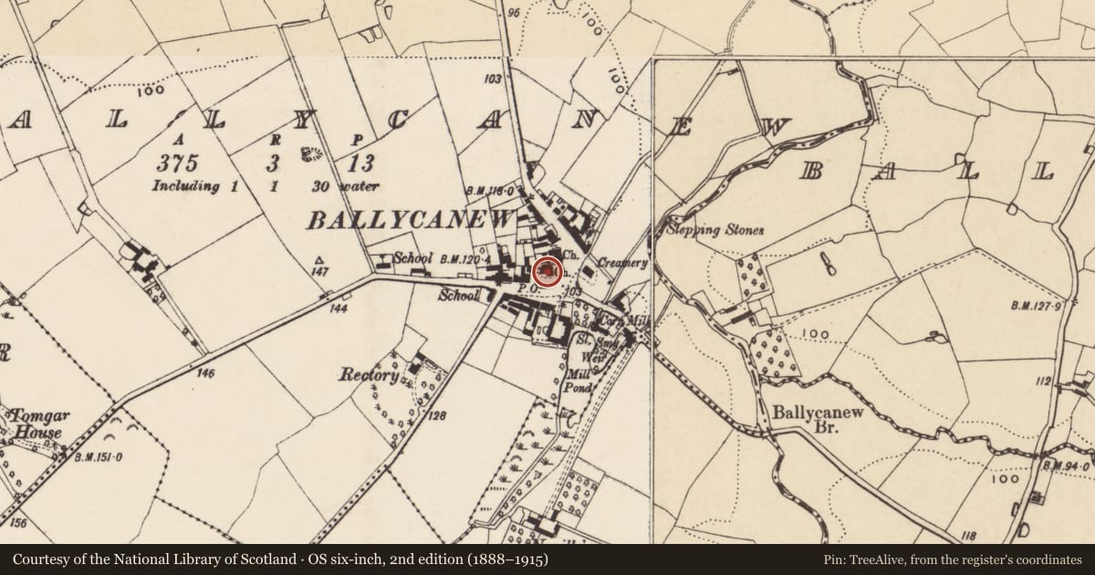 Ordnance Survey six-inch map, 2nd edition (1888–1915) covering the location of Church, Ballycanew, County Wexford, with a pin at the register's coordinates