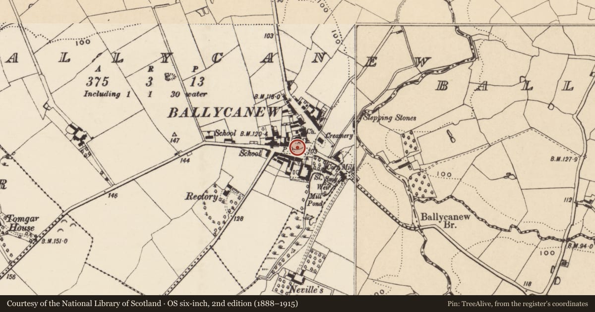 Ordnance Survey six-inch map, 2nd edition (1888–1915) covering the location of Graveyard, Ballycanew, County Wexford, with a pin at the register's coordinates