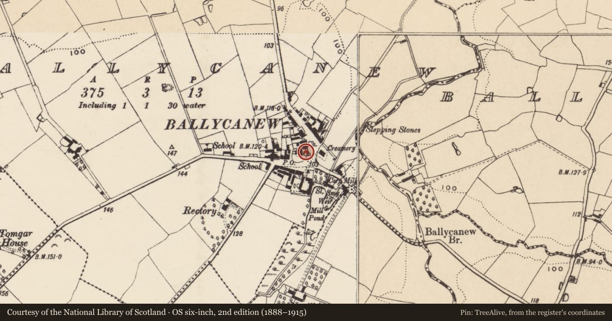 Ordnance Survey six-inch map, 2nd edition (1888–1915) covering the location of Bullaun stone, Ballycanew, County Wexford, with a pin at the register's coordinates