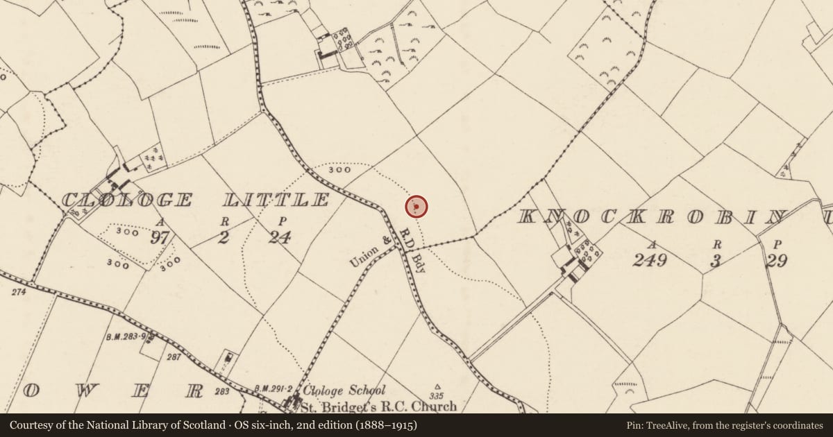 Ordnance Survey six-inch map, 2nd edition (1888–1915) covering the location of Ringfort - rath, Milshoge, County Wexford, with a pin at the register's coordinates