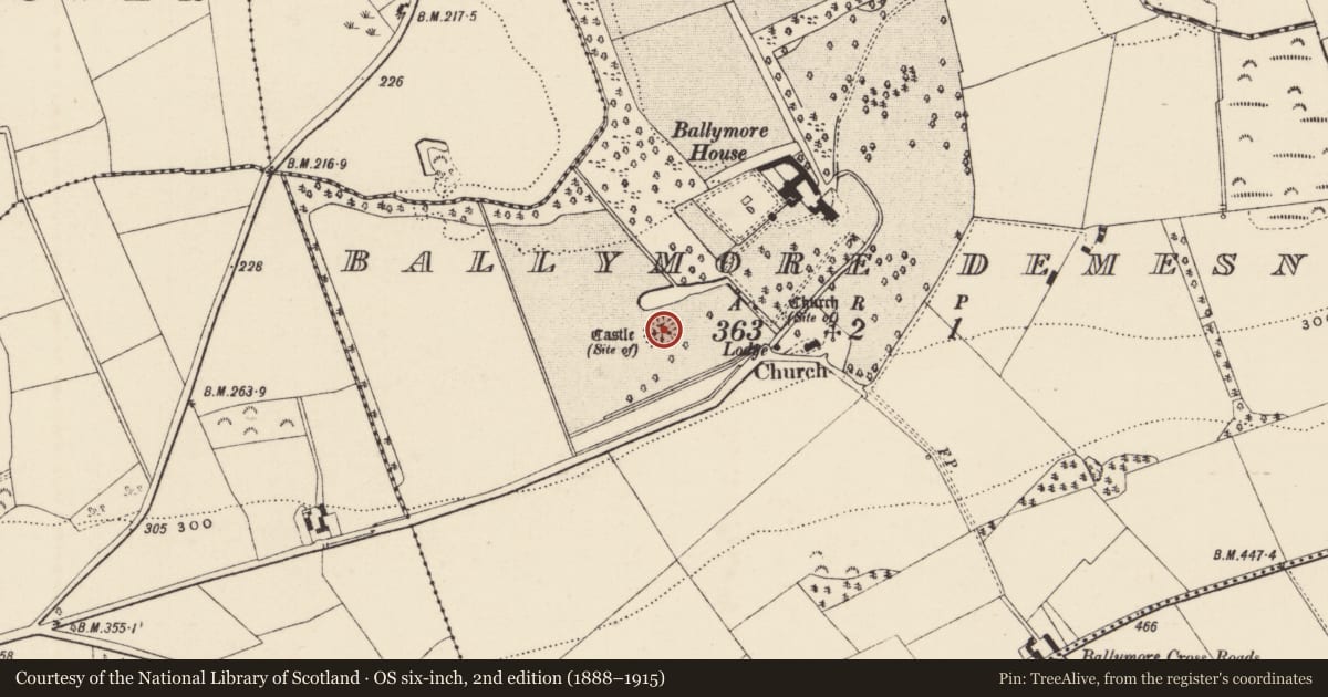 Ordnance Survey six-inch map, 2nd edition (1888–1915) covering the location of Castle - motte, Ballymore Demesne, County Wexford, with a pin at the register's coordinates