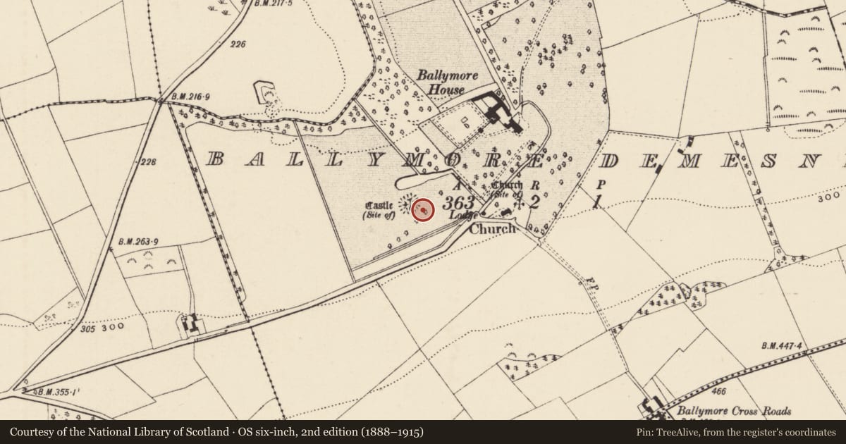 Ordnance Survey six-inch map, 2nd edition (1888–1915) covering the location of Ritual site - holy well, Ballymore Demesne, County Wexford, with a pin at the register's coordinates