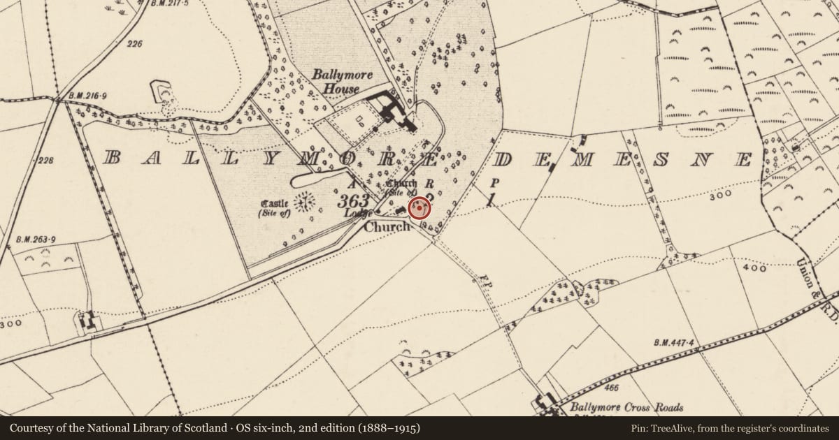 Ordnance Survey six-inch map, 2nd edition (1888–1915) covering the location of Graveyard, Ballymore Demesne, County Wexford, with a pin at the register's coordinates
