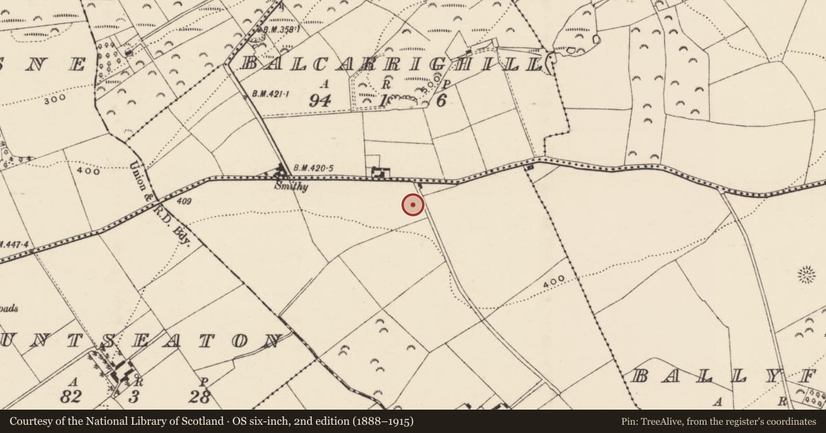 Ordnance Survey six-inch map, 2nd edition (1888–1915) covering the location of Cist, Ballyduff, County Wexford, with a pin at the register's coordinates
