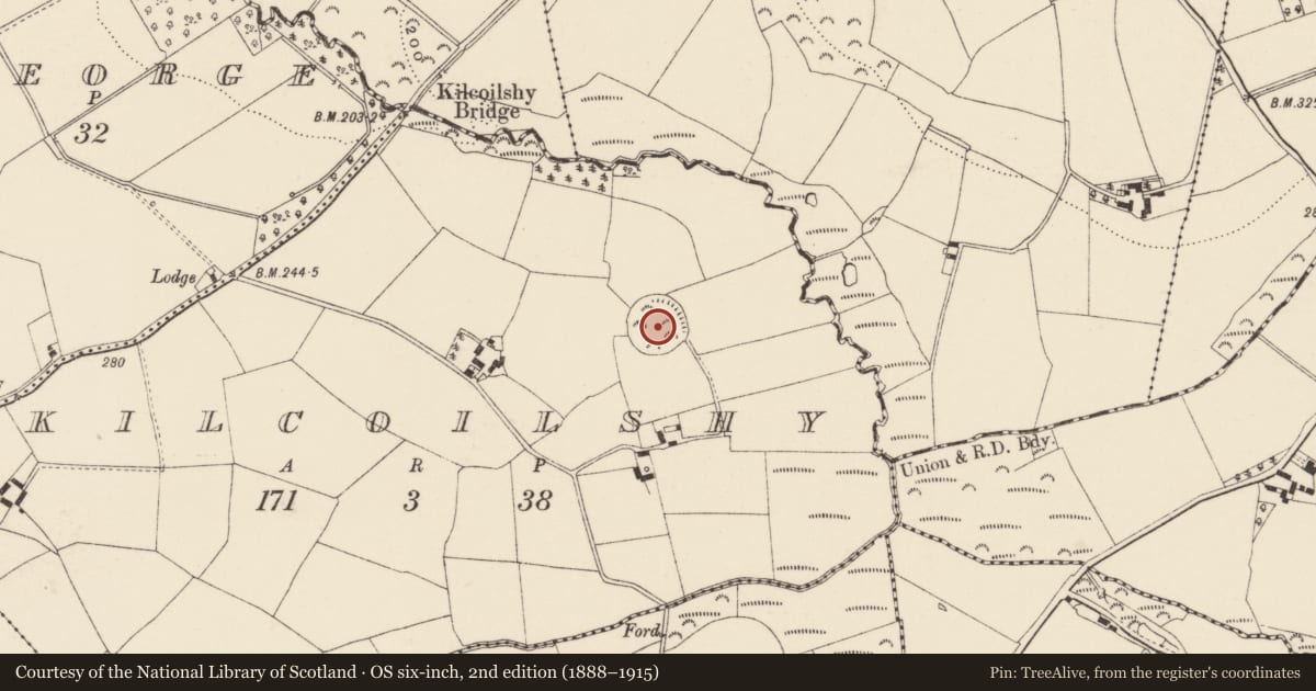 Ordnance Survey six-inch map, 2nd edition (1888–1915) covering the location of Barrow - unclassified, Kilcoilshy, County Wexford, with a pin at the register's coordinates