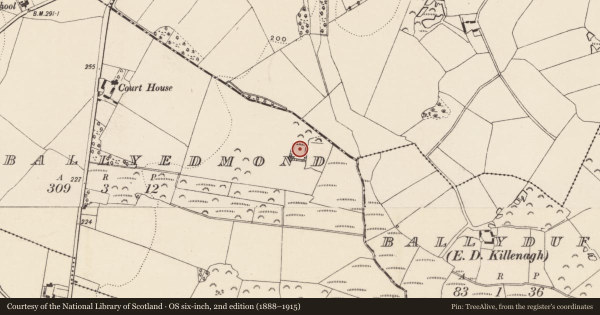 Ordnance Survey six-inch map, 2nd edition (1888–1915) covering the location of Moated site, Courtballyedmond, County Wexford, with a pin at the register's coordinates