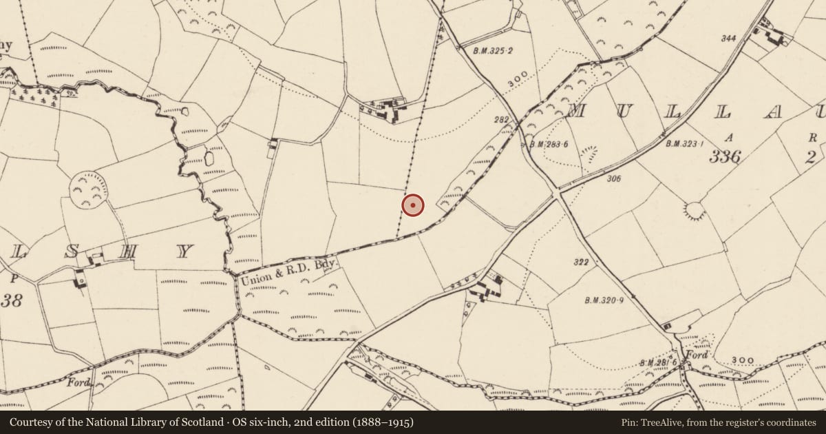 Ordnance Survey six-inch map, 2nd edition (1888–1915) covering the location of Ecclesiastical enclosure, Ballyregan, Bolacreen, County Wexford, with a pin at the register's coordinates