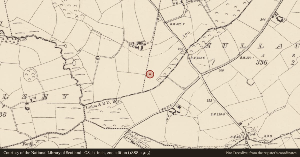 Ordnance Survey six-inch map, 2nd edition (1888–1915) covering the location of Enclosure, Ballyregan, County Wexford, with a pin at the register's coordinates