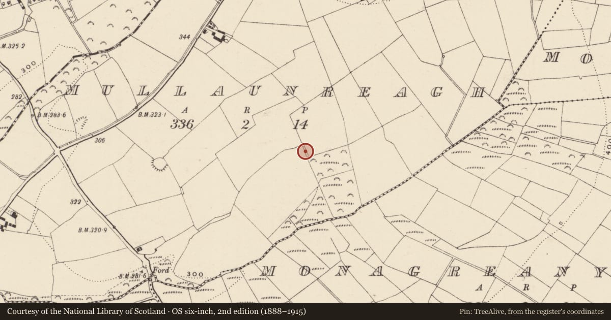 Ordnance Survey six-inch map, 2nd edition (1888–1915) covering the location of Burnt mound, Mullaunreagh, County Wexford, with a pin at the register's coordinates