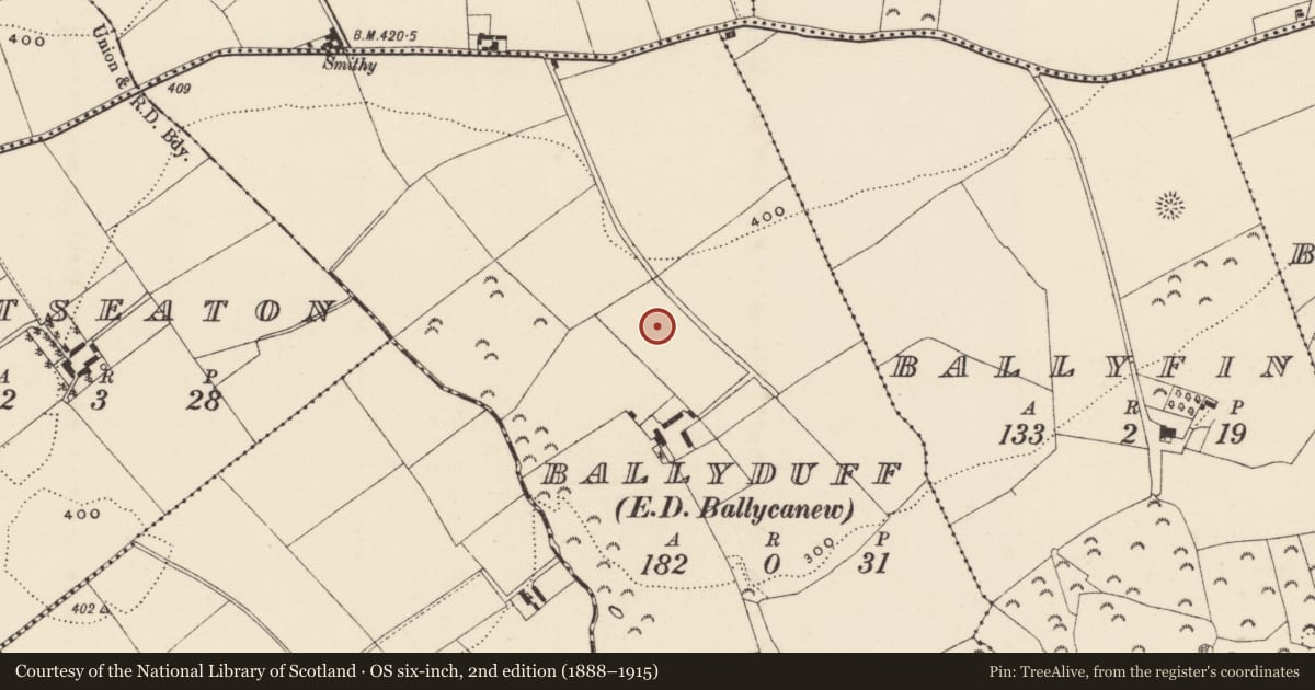 Ordnance Survey six-inch map, 2nd edition (1888–1915) covering the location of Enclosure, Ballyduff, County Wexford, with a pin at the register's coordinates