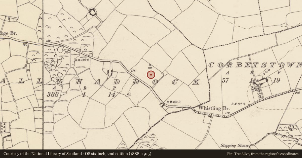 Ordnance Survey six-inch map, 2nd edition (1888–1915) covering the location of Ringfort - rath, Ballyhaddock, County Wexford, with a pin at the register's coordinates