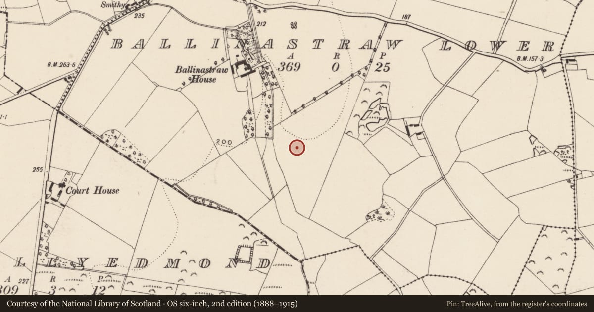 Ordnance Survey six-inch map, 2nd edition (1888–1915) covering the location of Enclosure, Ballinastraw Lower, County Wexford, with a pin at the register's coordinates