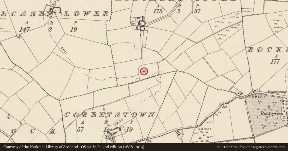 Ordnance Survey six-inch map, 2nd edition (1888–1915) covering the location of Enclosure, Kilcasey Upper, County Wexford, with a pin at the register's coordinates