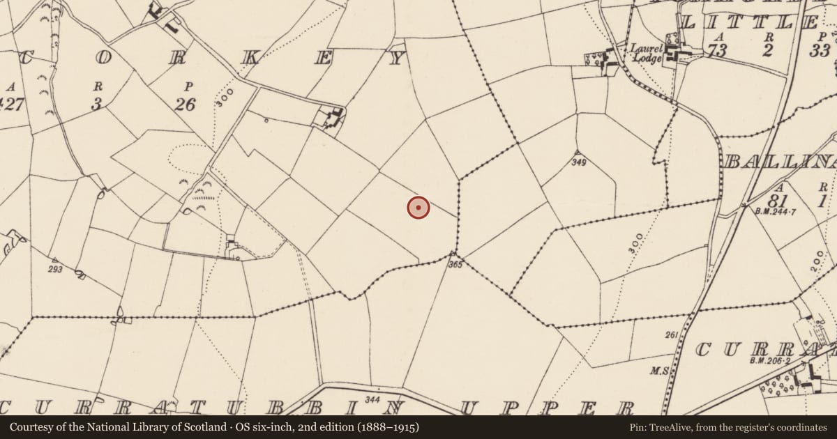 Ordnance Survey six-inch map, 2nd edition (1888–1915) covering the location of Ringfort - rath, Kilcorkey, County Wexford, with a pin at the register's coordinates