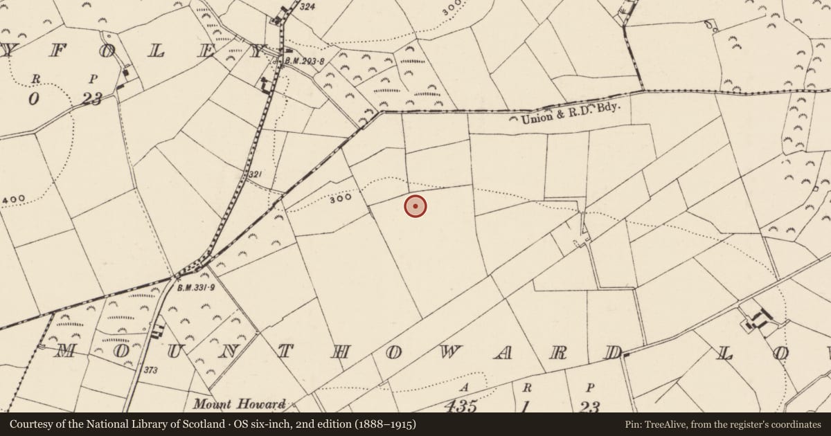 Ordnance Survey six-inch map, 2nd edition (1888–1915) covering the location of Ringfort - rath, Mounthoward Lower, County Wexford, with a pin at the register's coordinates