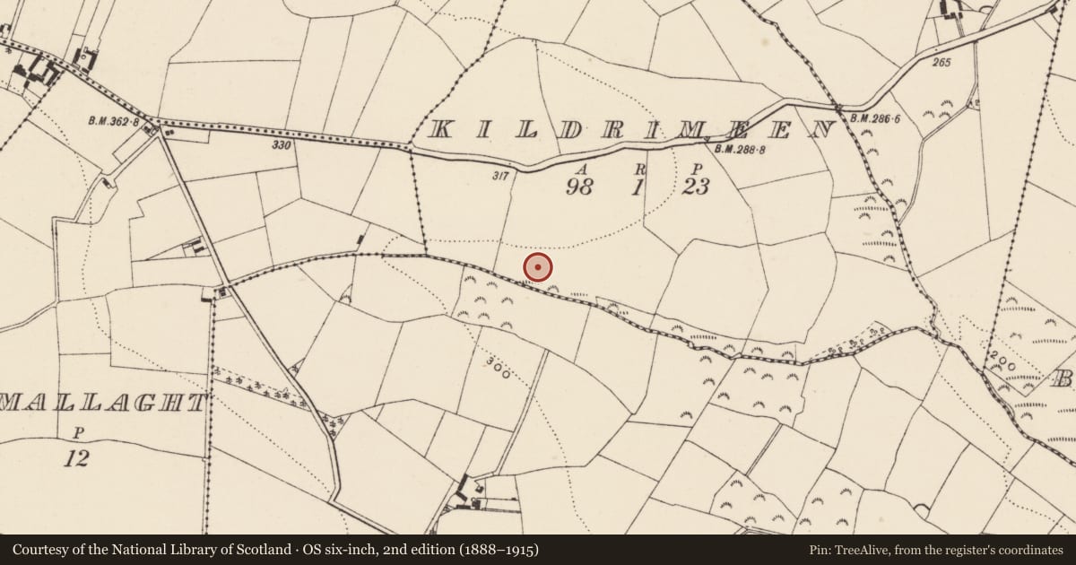 Ordnance Survey six-inch map, 2nd edition (1888–1915) covering the location of Ringfort - rath, Kildrimeen, County Wexford, with a pin at the register's coordinates