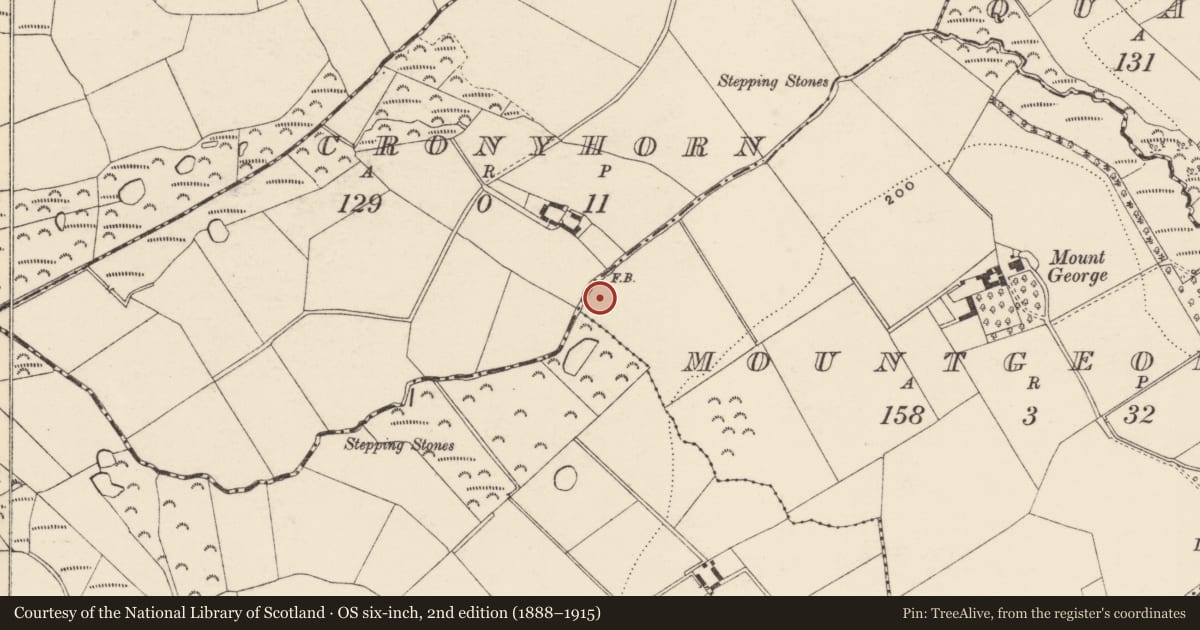 Ordnance Survey six-inch map, 2nd edition (1888–1915) covering the location of Burnt mound, Mountgeorge, County Wexford, with a pin at the register's coordinates