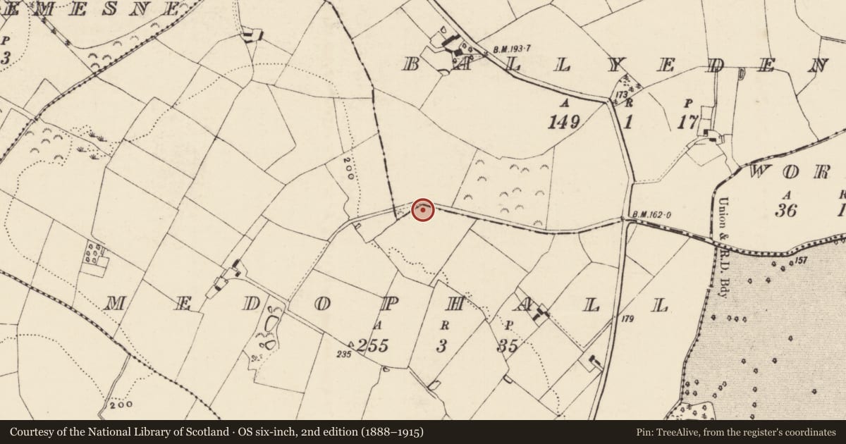 Ordnance Survey six-inch map, 2nd edition (1888–1915) covering the location of Burnt mound, Medophall, County Wexford, with a pin at the register's coordinates