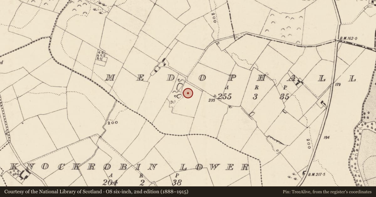 Ordnance Survey six-inch map, 2nd edition (1888–1915) covering the location of Metalworking site, Medophall, County Wexford, with a pin at the register's coordinates
