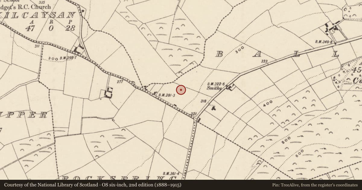 Ordnance Survey six-inch map, 2nd edition (1888–1915) covering the location of Fulacht fia, Ballymore, County Wexford, with a pin at the register's coordinates
