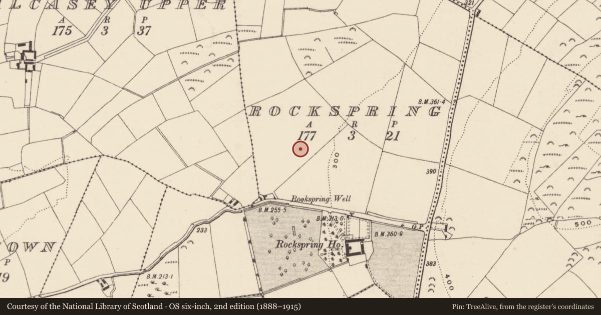 Ordnance Survey six-inch map, 2nd edition (1888–1915) covering the location of Fulacht fia, Rockspring, County Wexford, with a pin at the register's coordinates