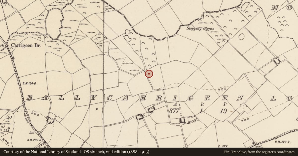 Ordnance Survey six-inch map, 2nd edition (1888–1915) covering the location of Excavation - miscellaneous, Ballycarrigeen Lower, County Wexford, with a pin at the register's coordinates