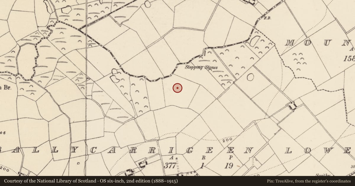 Ordnance Survey six-inch map, 2nd edition (1888–1915) covering the location of Excavation - miscellaneous, Ballycarrigeen Lower, County Wexford, with a pin at the register's coordinates