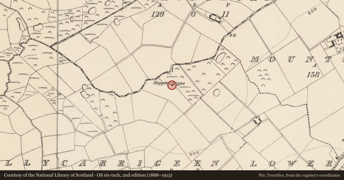 Ordnance Survey six-inch map, 2nd edition (1888–1915) covering the location of Fulacht fia, Ballycarrigeen Lower, County Wexford, with a pin at the register's coordinates