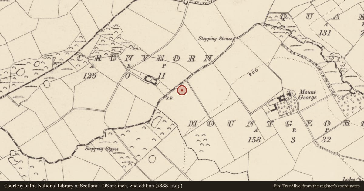 Ordnance Survey six-inch map, 2nd edition (1888–1915) covering the location of Burnt mound, Mountgeorge, County Wexford, with a pin at the register's coordinates