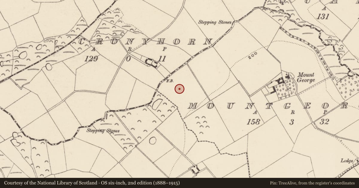 Ordnance Survey six-inch map, 2nd edition (1888–1915) covering the location of Fulacht fia, Mountgeorge, County Wexford, with a pin at the register's coordinates