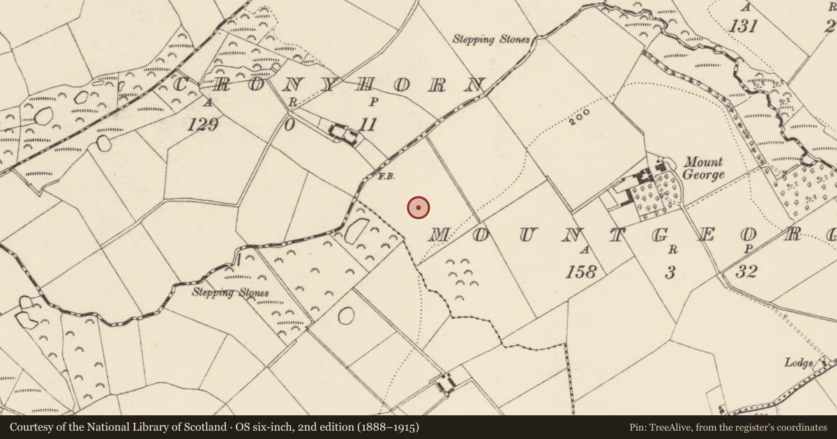 Ordnance Survey six-inch map, 2nd edition (1888–1915) covering the location of Fulacht fia, Mountgeorge, County Wexford, with a pin at the register's coordinates