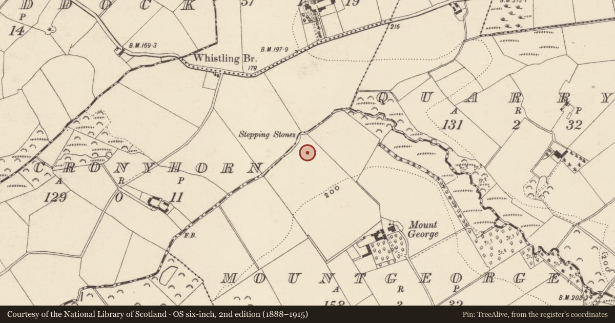 Ordnance Survey six-inch map, 2nd edition (1888–1915) covering the location of Kiln, Mountgeorge, County Wexford, with a pin at the register's coordinates