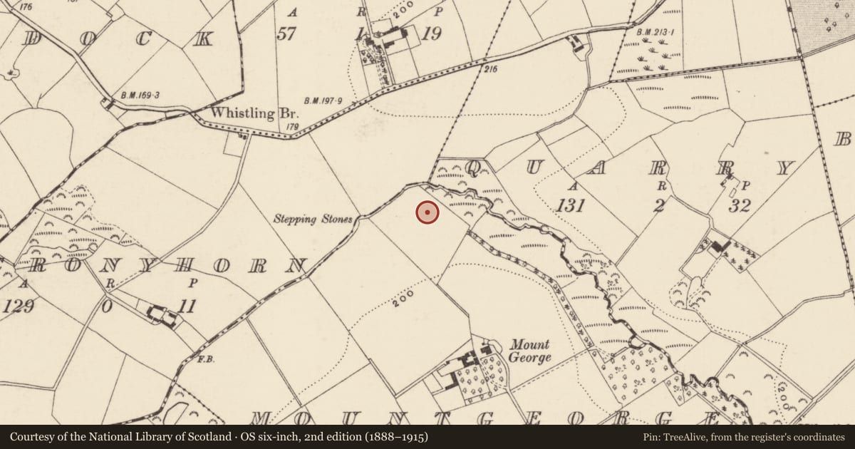 Ordnance Survey six-inch map, 2nd edition (1888–1915) covering the location of Excavation - miscellaneous, Mountgeorge, County Wexford, with a pin at the register's coordinates