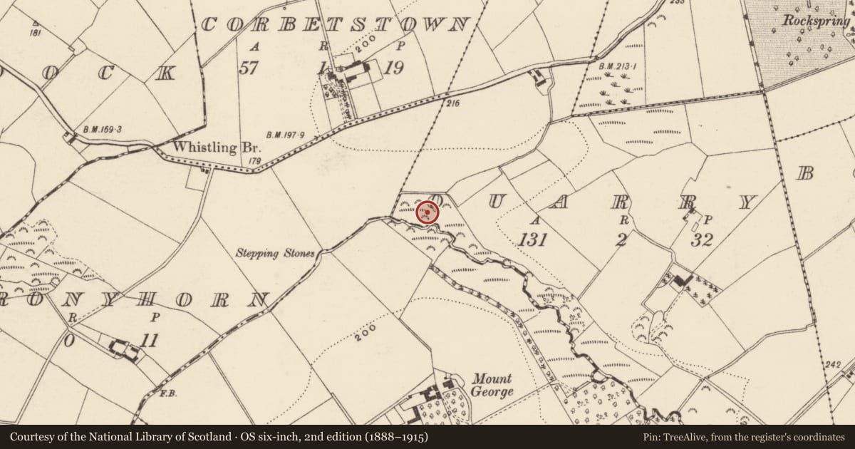 Ordnance Survey six-inch map, 2nd edition (1888–1915) covering the location of Fulacht fia, Quarry, County Wexford, with a pin at the register's coordinates