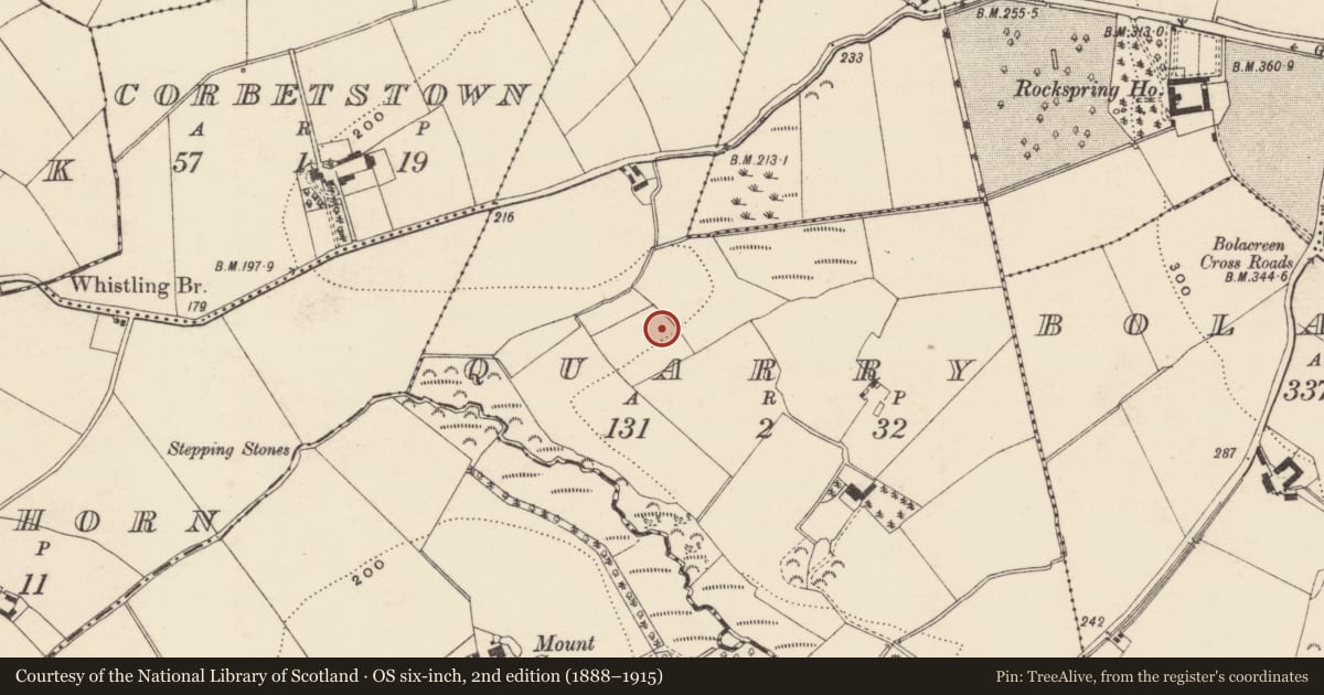Ordnance Survey six-inch map, 2nd edition (1888–1915) covering the location of Hearth, Quarry, County Wexford, with a pin at the register's coordinates