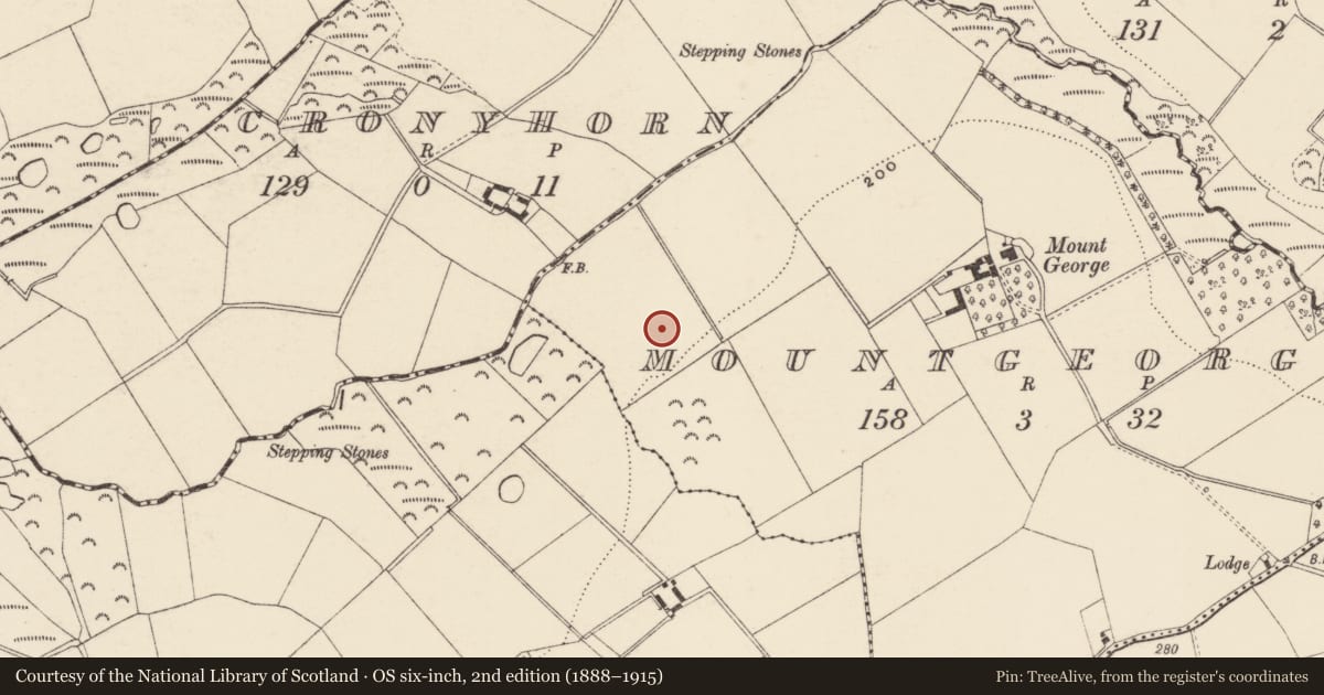 Ordnance Survey six-inch map, 2nd edition (1888–1915) covering the location of Ritual site - holy well, Mountgeorge, County Wexford, with a pin at the register's coordinates