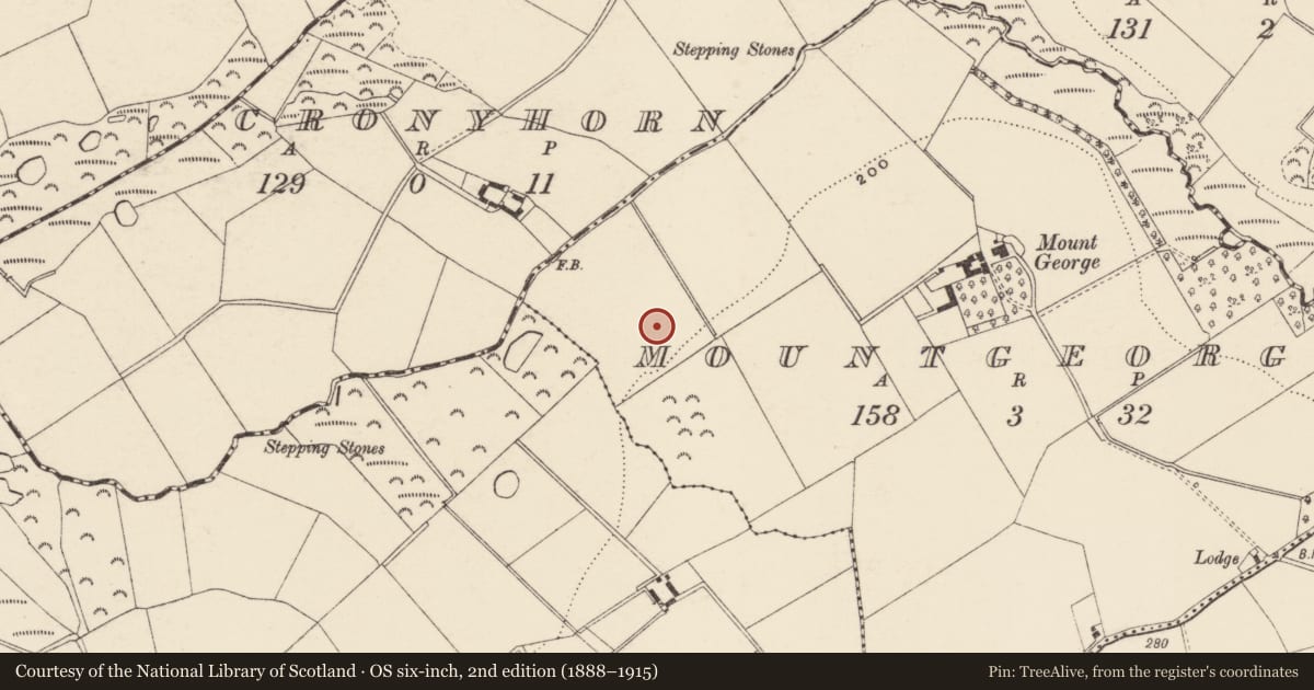 Ordnance Survey six-inch map, 2nd edition (1888–1915) covering the location of Bullaun stone, Mountgeorge, County Wexford, with a pin at the register's coordinates