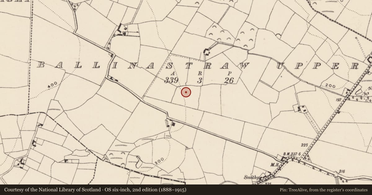 Ordnance Survey six-inch map, 2nd edition (1888–1915) covering the location of Enclosure, Ballinastraw Upper, County Wexford, with a pin at the register's coordinates