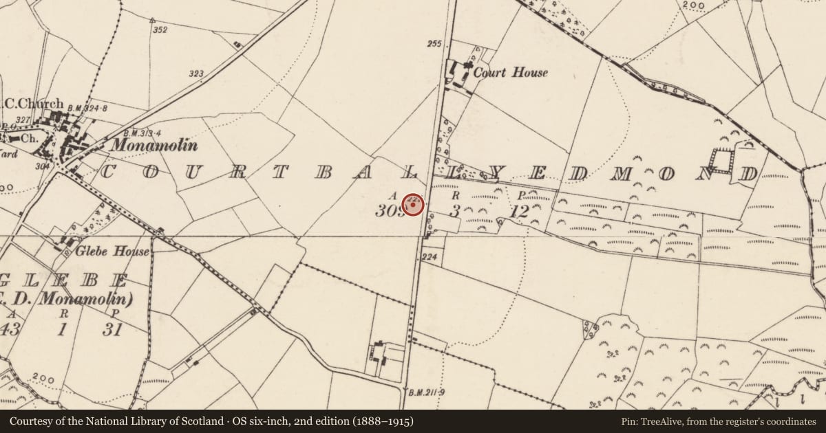 Ordnance Survey six-inch map, 2nd edition (1888–1915) covering the location of Ringfort - rath, Courtballyedmond, County Wexford, with a pin at the register's coordinates