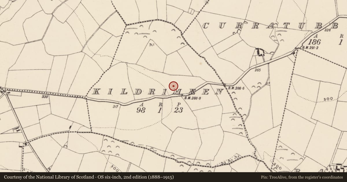 Ordnance Survey six-inch map, 2nd edition (1888–1915) covering the location of Ringfort - rath, Kildrimeen, County Wexford, with a pin at the register's coordinates