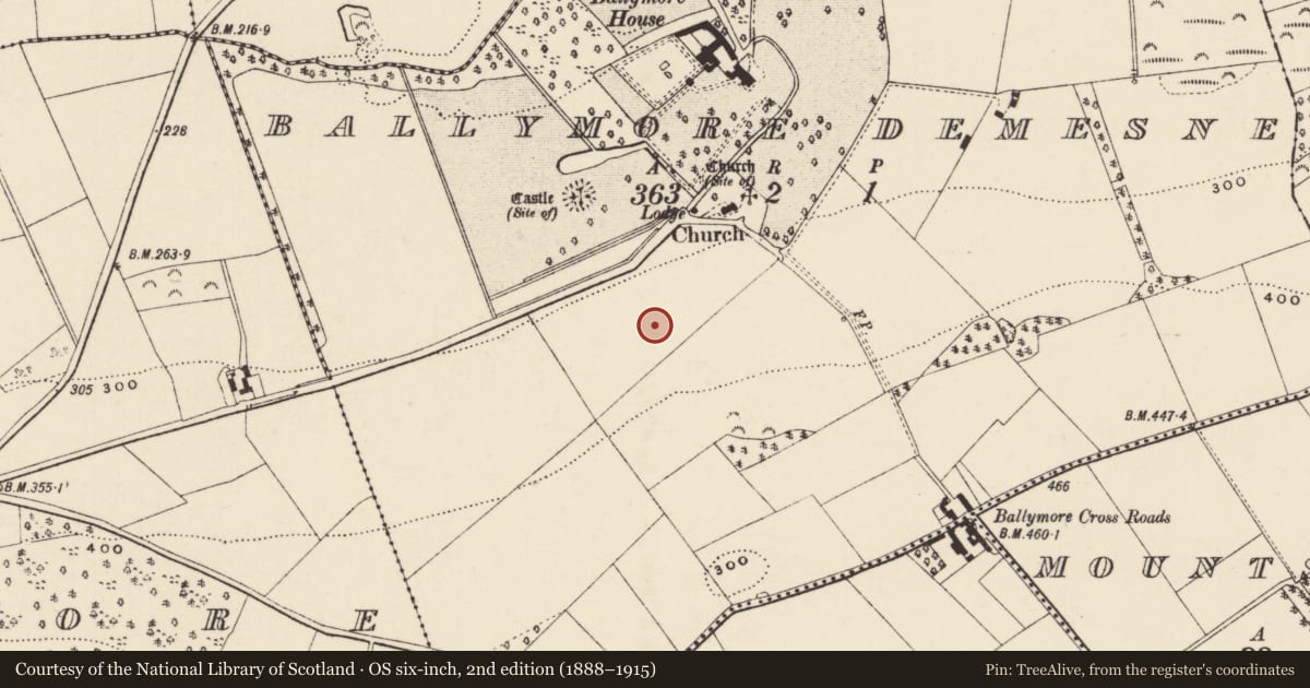 Ordnance Survey six-inch map, 2nd edition (1888–1915) covering the location of Enclosure, Ballymore Demesne, County Wexford, with a pin at the register's coordinates