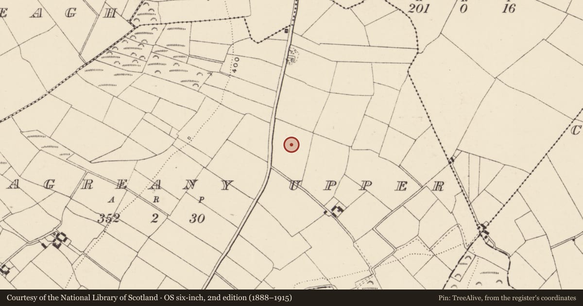 Ordnance Survey six-inch map, 2nd edition (1888–1915) covering the location of Enclosure, Monagreany Upper, County Wexford, with a pin at the register's coordinates