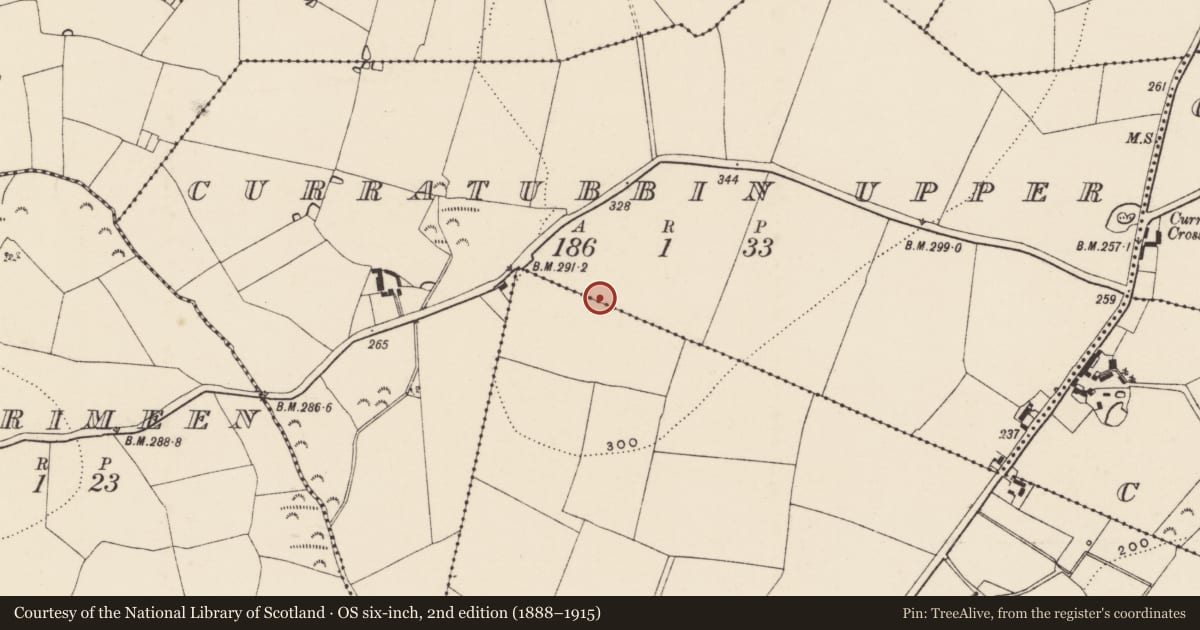 Ordnance Survey six-inch map, 2nd edition (1888–1915) covering the location of Enclosure, Ballinvally, Curratubbin Upper, County Wexford, with a pin at the register's coordinates