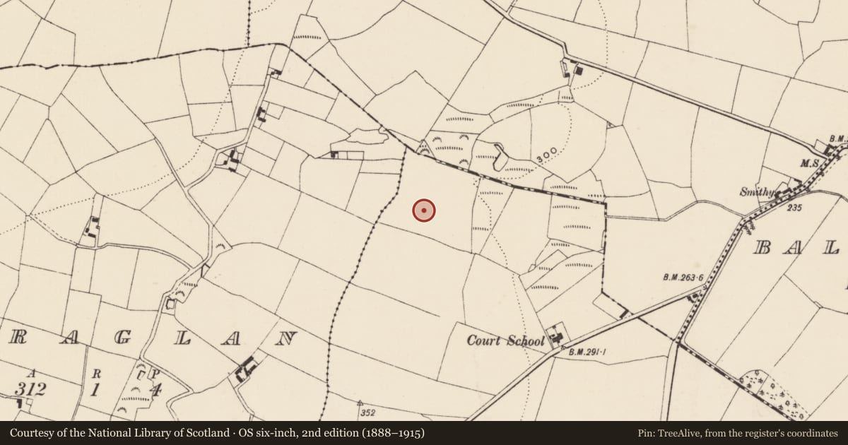 Ordnance Survey six-inch map, 2nd edition (1888–1915) covering the location of Enclosure, Courtballyedmond, County Wexford, with a pin at the register's coordinates