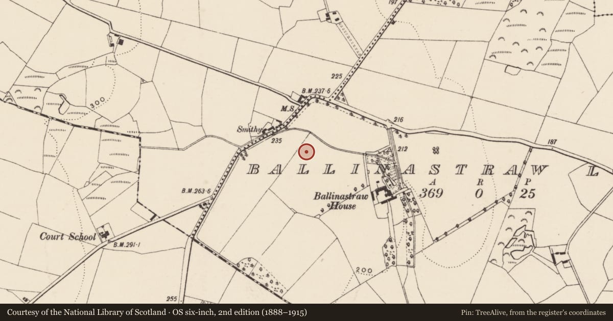 Ordnance Survey six-inch map, 2nd edition (1888–1915) covering the location of Ring-ditch, Ballinastraw Lower, County Wexford, with a pin at the register's coordinates