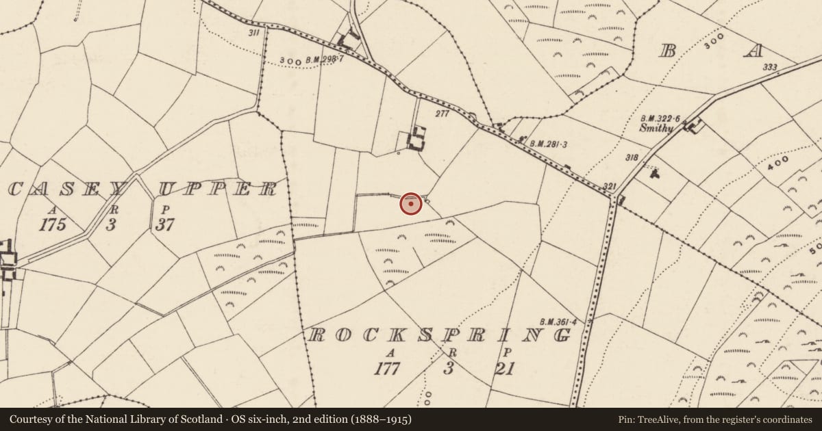 Ordnance Survey six-inch map, 2nd edition (1888–1915) covering the location of Fulacht fia, Rockspring, County Wexford, with a pin at the register's coordinates
